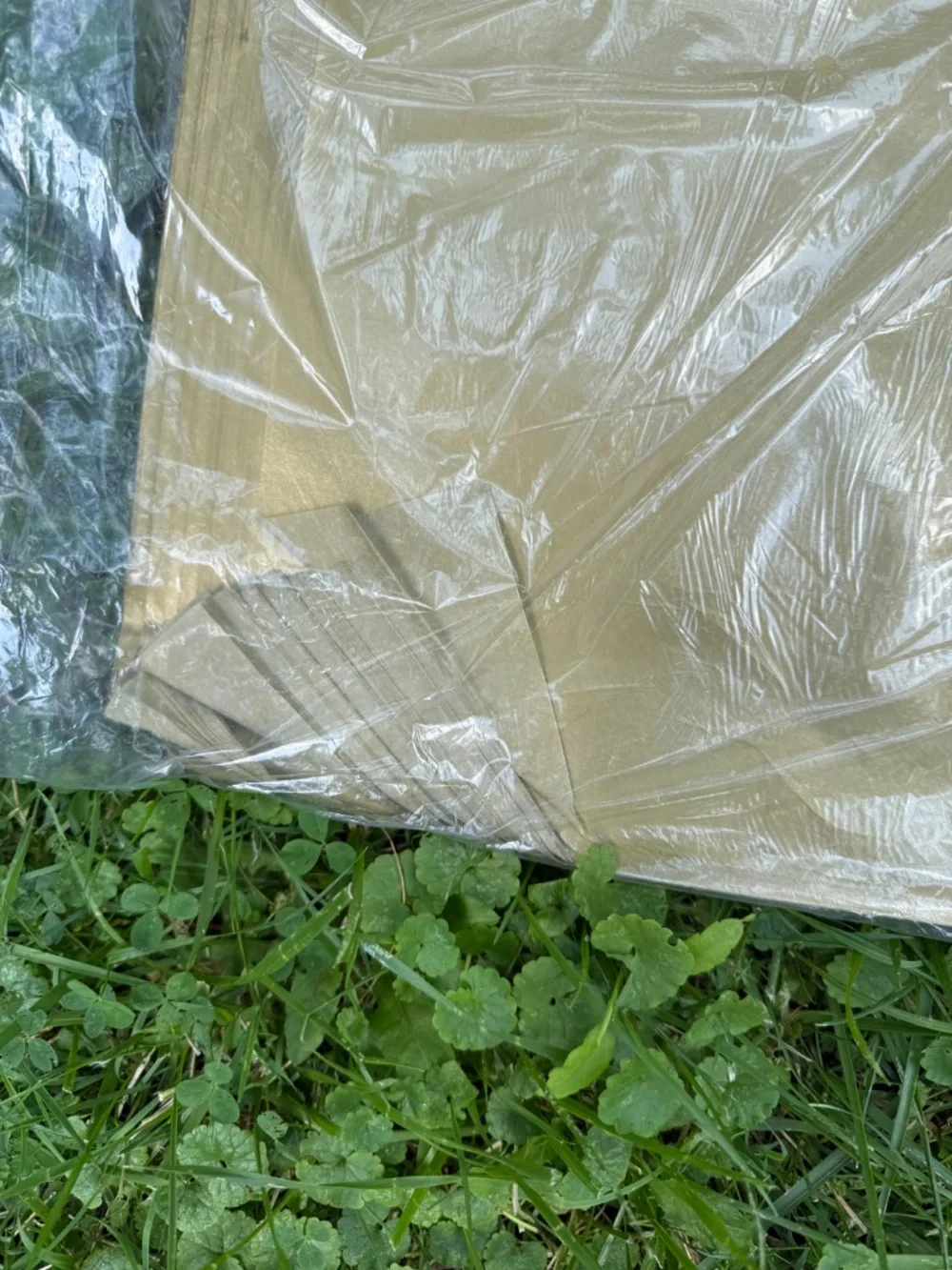 Luxury 20x30in Gold Metallic Bulk Tissue Paper 240 Pieces, NWT